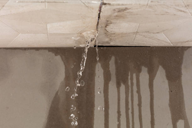 Professional Structural Drying technician working in Dublin, TX